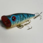 hard body fishing lure